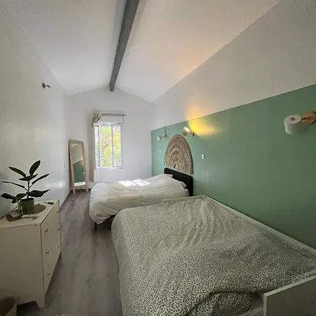 La Bambouseraie De La Mitre Toulon