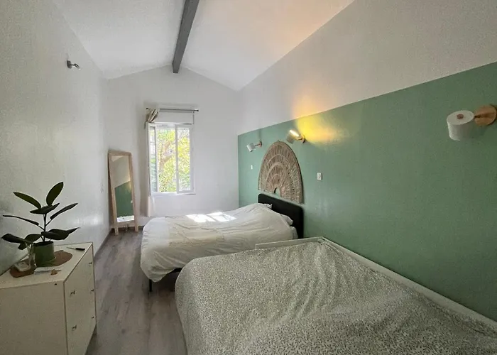 La Bambouseraie De La Mitre Tulon